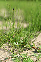 BUITEN BEELD Foto: 440306