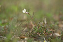 BUITEN BEELD Foto: 440309