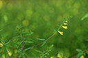 BUITEN BEELD Foto: 440310