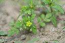 BUITEN BEELD Foto: 440317