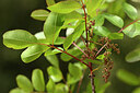 BUITEN BEELD Foto: 440320