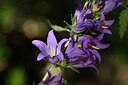 BUITEN BEELD Foto: 440321