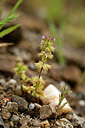 BUITEN BEELD Foto: 440326