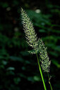 BUITEN BEELD Foto: 440328