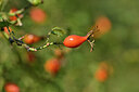 BUITEN BEELD Foto: 440329