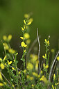 BUITEN BEELD Foto: 440330