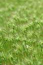 BUITEN BEELD Foto: 440332
