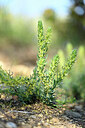 BUITEN BEELD Foto: 440340
