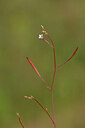 BUITEN BEELD Foto: 440343