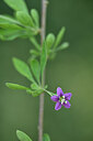 BUITEN BEELD Foto: 440347