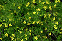 BUITEN BEELD Foto: 440348