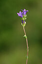 BUITEN BEELD Foto: 440349