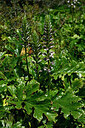 BUITEN BEELD Foto: 440352