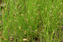 BUITEN BEELD Foto: 440354