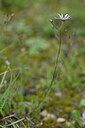 BUITEN BEELD Foto: 440355