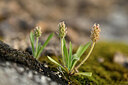 BUITEN BEELD Foto: 440357
