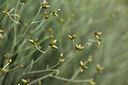 BUITEN BEELD Foto: 440360
