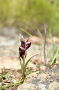 BUITEN BEELD Foto: 440364