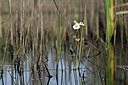 BUITEN BEELD Foto: 440370