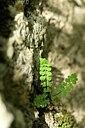 BUITEN BEELD Foto: 440372