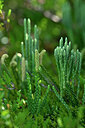 BUITEN BEELD Foto: 440379