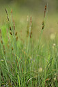 BUITEN BEELD Foto: 440380