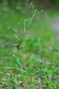 BUITEN BEELD Foto: 440381