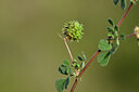 BUITEN BEELD Foto: 440382