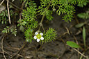BUITEN BEELD Foto: 440383