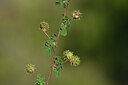BUITEN BEELD Foto: 440386
