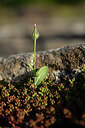 BUITEN BEELD Foto: 440391