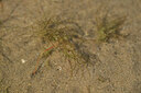 BUITEN BEELD Foto: 440394