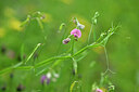 BUITEN BEELD Foto: 440395