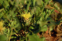BUITEN BEELD Foto: 440403
