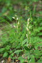 BUITEN BEELD Foto: 440406