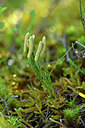 BUITEN BEELD Foto: 440408