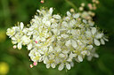BUITEN BEELD Foto: 440411