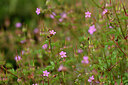 BUITEN BEELD Foto: 440417