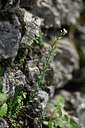 BUITEN BEELD Foto: 440418