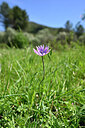 BUITEN BEELD Foto: 440421