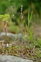 BUITEN BEELD Foto: 440423