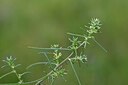 BUITEN BEELD Foto: 440424