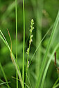 BUITEN BEELD Foto: 440427