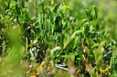 BUITEN BEELD Foto: 440430