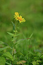 BUITEN BEELD Foto: 440435
