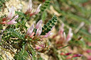 BUITEN BEELD Foto: 440436