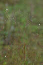 BUITEN BEELD Foto: 440438