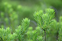 BUITEN BEELD Foto: 440439