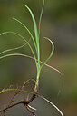 BUITEN BEELD Foto: 440443