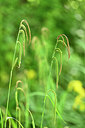 BUITEN BEELD Foto: 440445